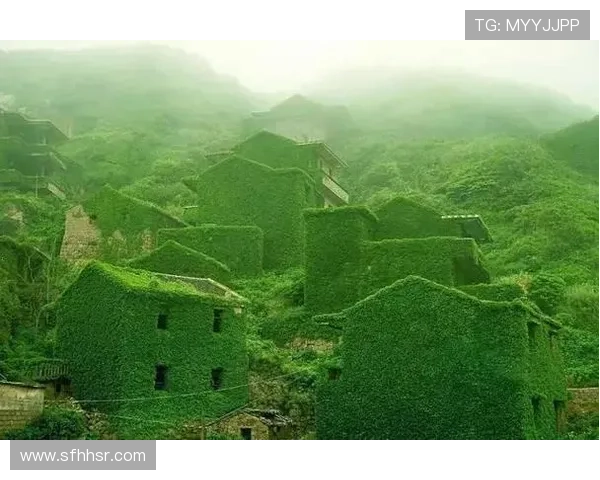 探寻心灵的绿洲：秘密花园论坛，你的专属心灵栖息地